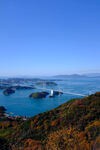 秋日跨海大橋美麗景致