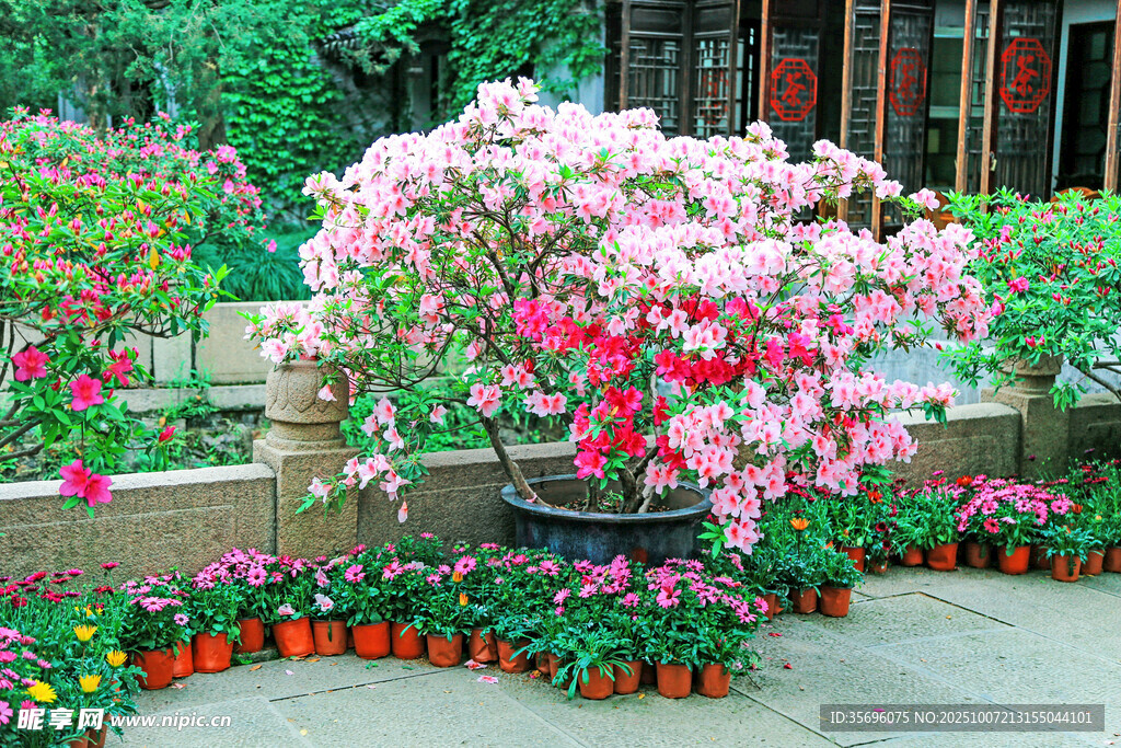 繁花簇?fù)淼耐ピ壕爸? />
                            </div>
                    </div>
                </div>



                <div   id=
