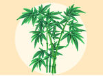 清新翠竹插畫