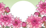 花卉邊框