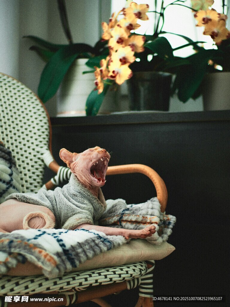 嬰兒躺椅上打哈欠