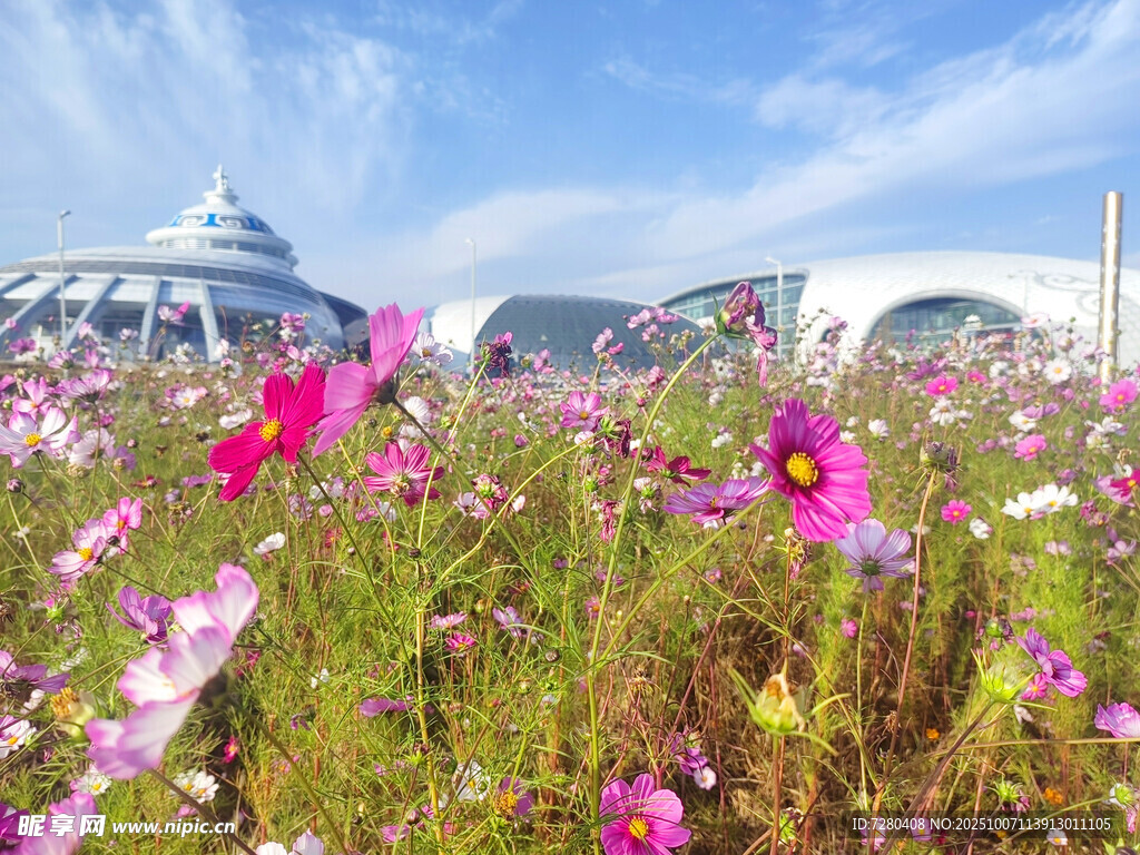 花海中的建筑與絢爛花朵