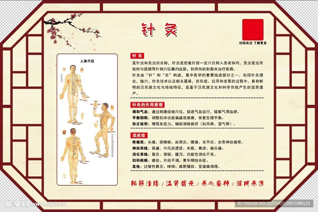 中醫(yī)針灸穴位知識(shí)介紹