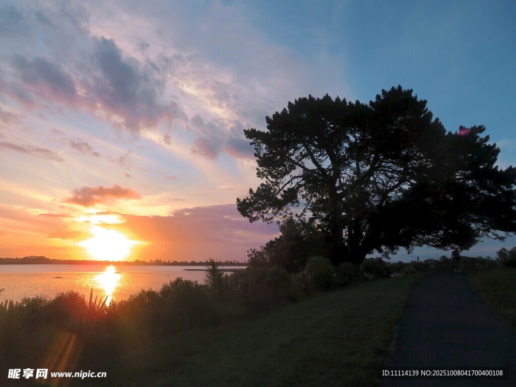 夕陽下的海濱樹木美景