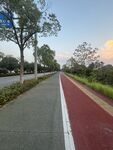 城市中的彩色騎行專用道路