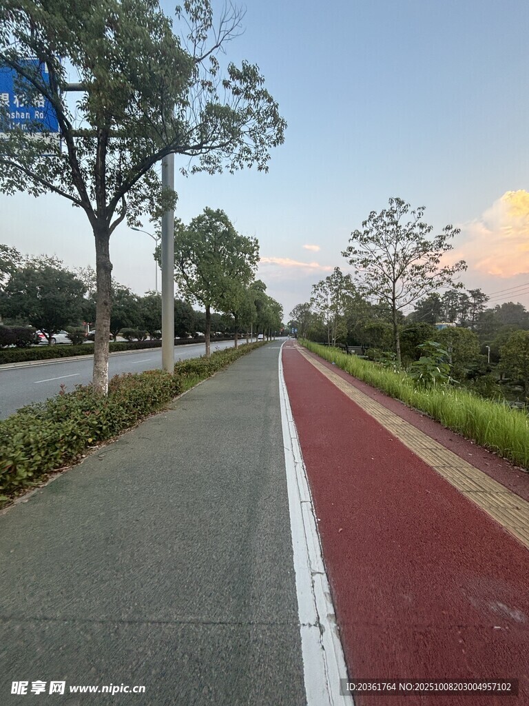 城市中的彩色騎行專用道路