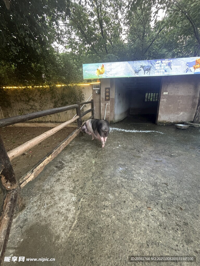 積水路段被封鎖