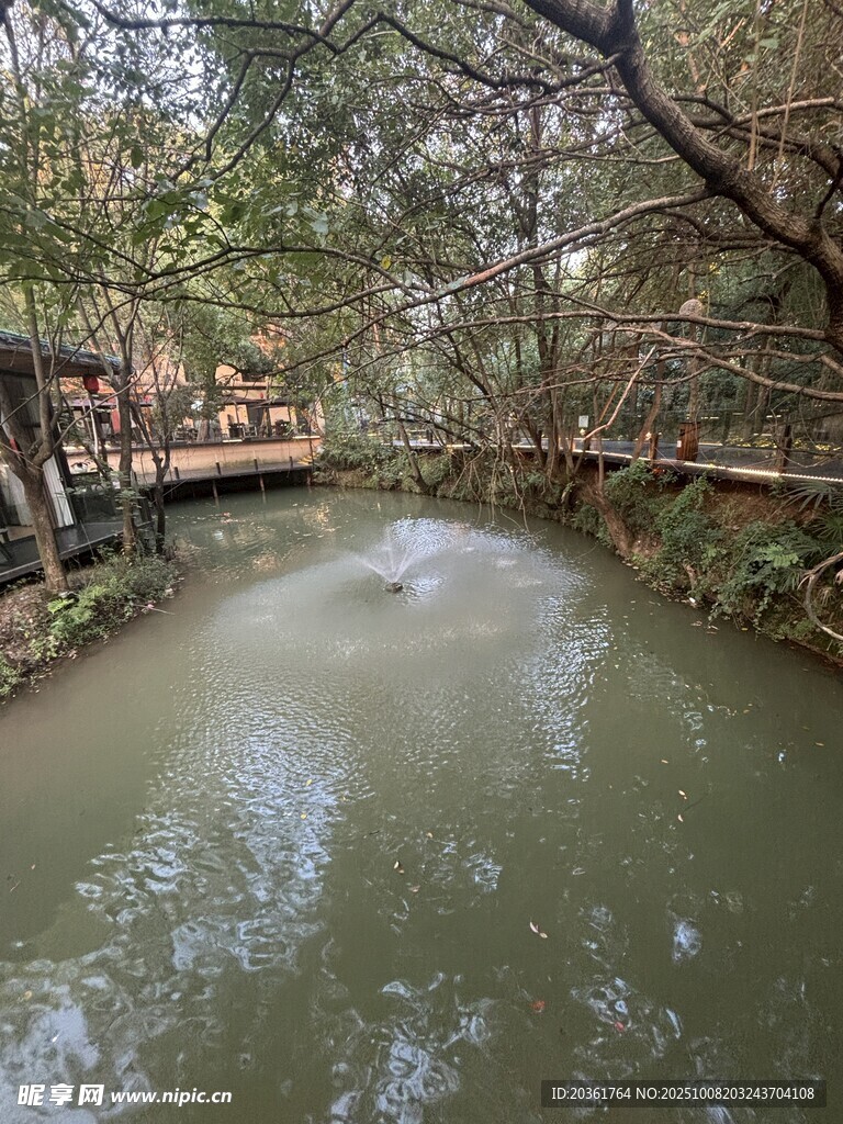 河畔林間小橋流水景致