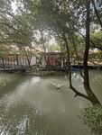 河畔綠樹(shù)環(huán)繞的靜謐水景