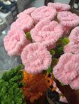 扭扭棒 手工花  玫瑰花