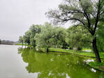 湖畔綠樹倒映于碧綠湖水