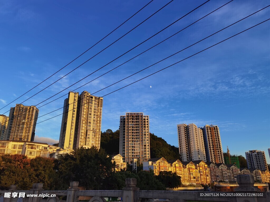 城市高樓與空中電線景觀