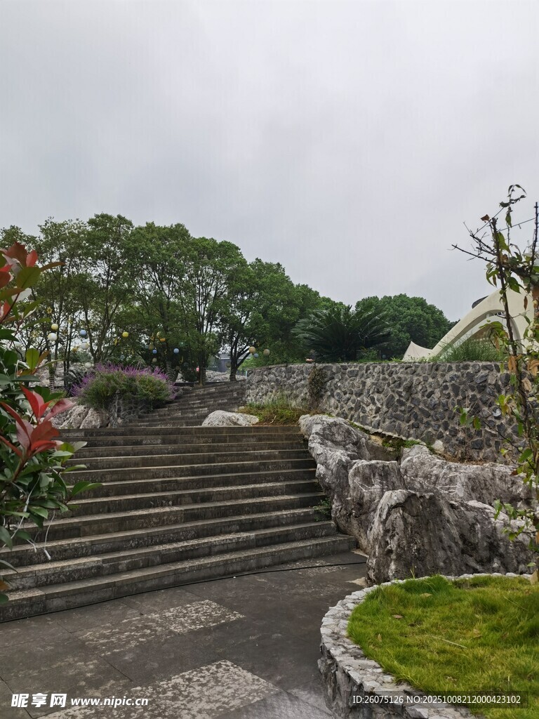山間石階旁的綠植景致