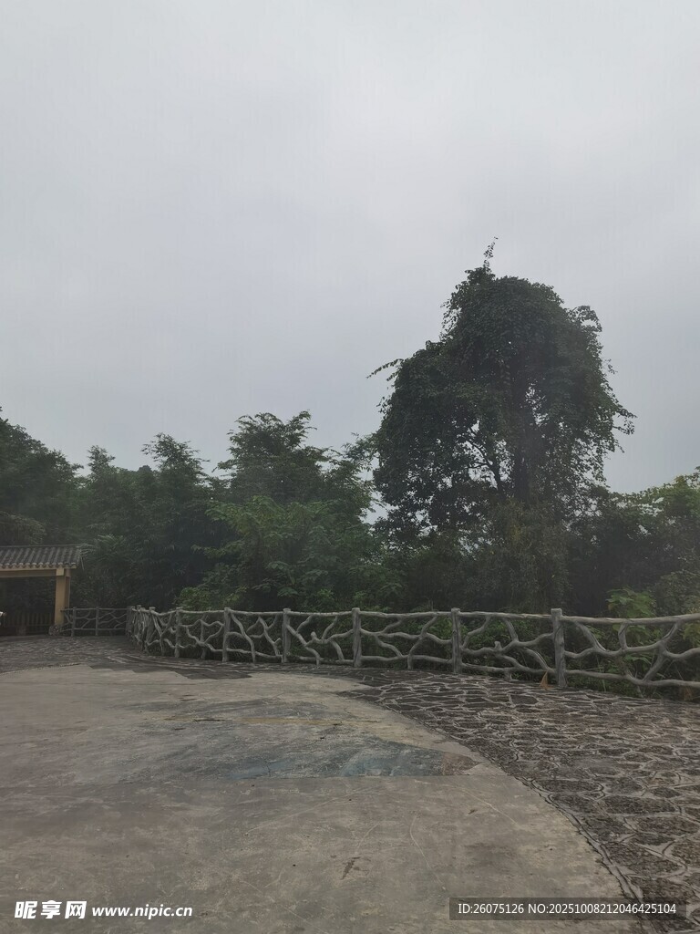 戶外開(kāi)闊場(chǎng)地與樹(shù)木景觀