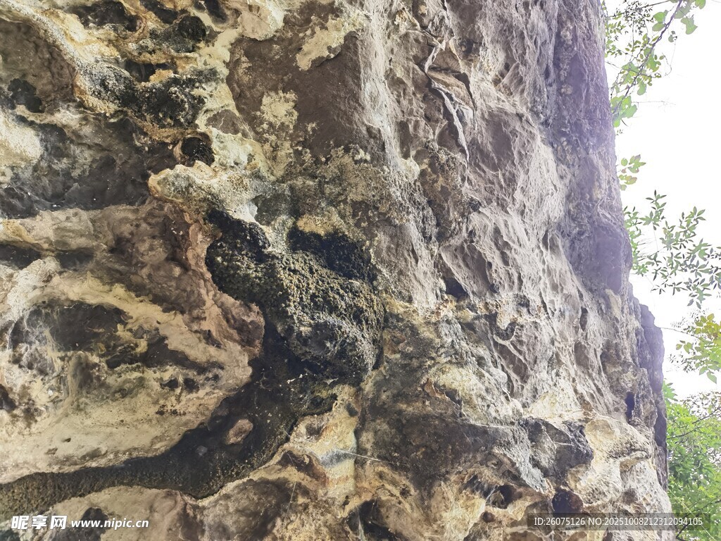 嶙峋巖石紋理特寫