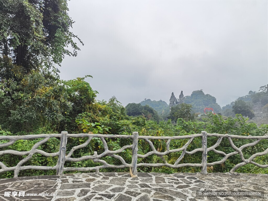 山間步道旁的綠植與石景