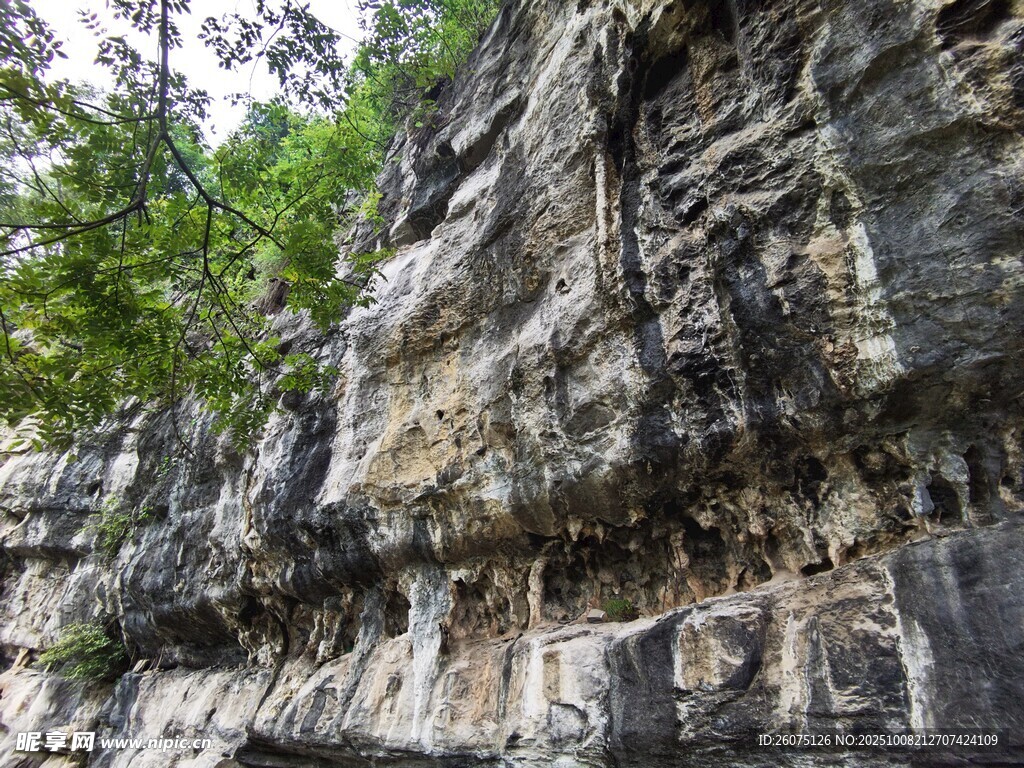 陡峭巖石山壁綠意點綴