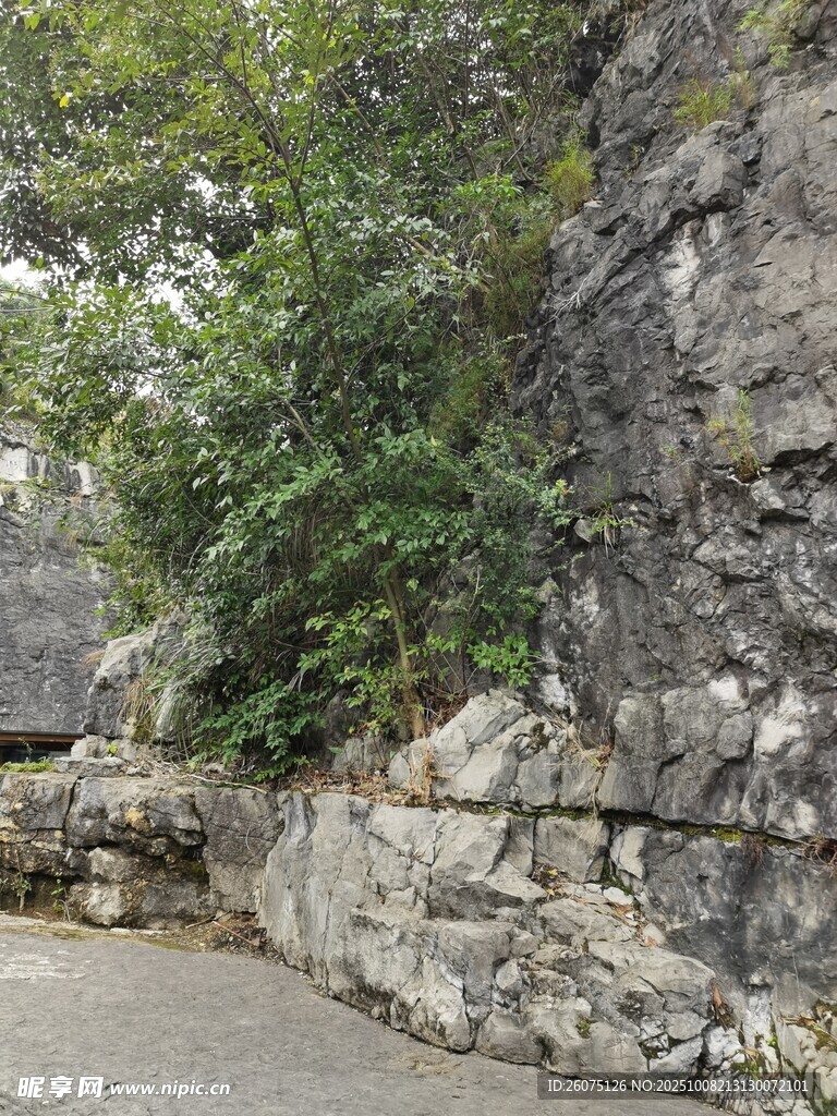 石墻邊繁茂綠植景觀