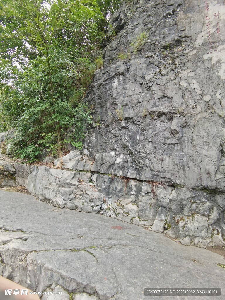 巖石旁的綠植與石板路