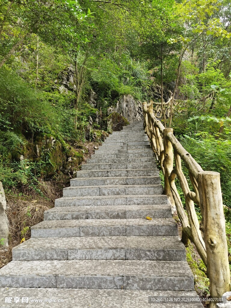 山間石階步道自然景致