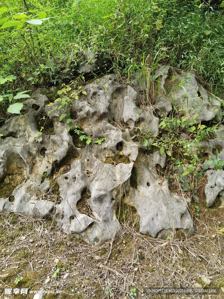 山坡上的巖石與綠植