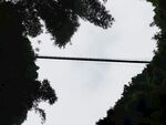 林間懸索橋
