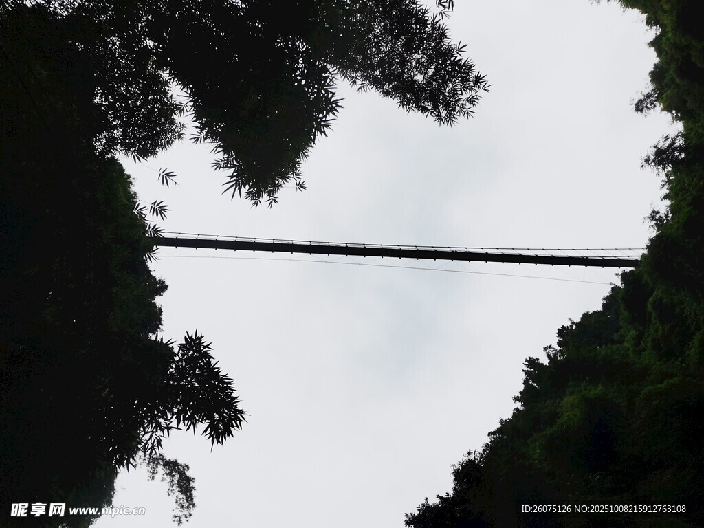 林間懸索橋