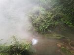 山間迷霧中的綠意景致