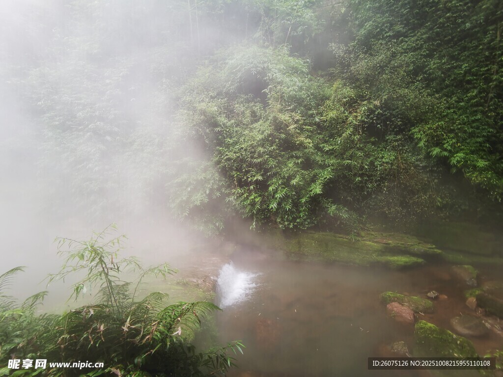 山間迷霧中的綠意景致