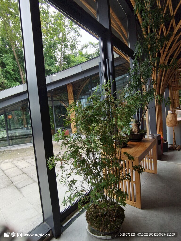 室內(nèi)綠植裝點(diǎn)的明亮空間