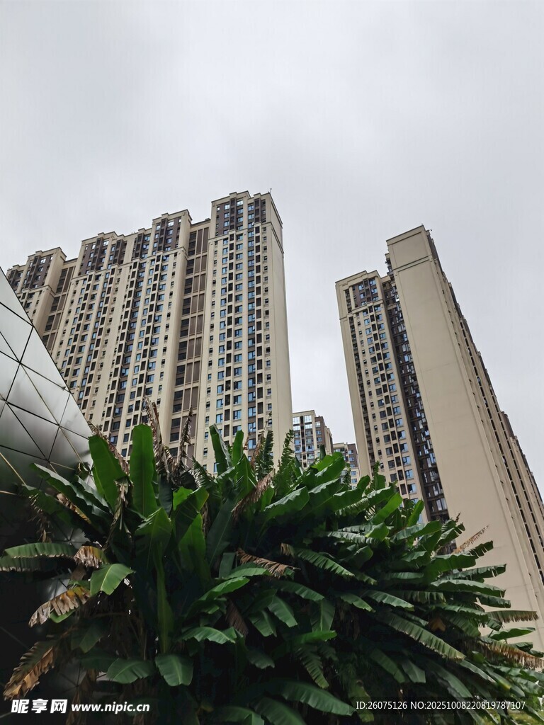 高樓林立間的綠植景觀