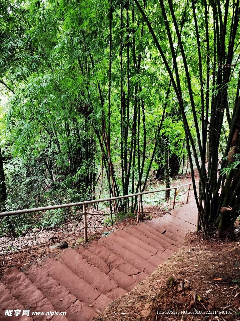 竹林間的紅色石階小道