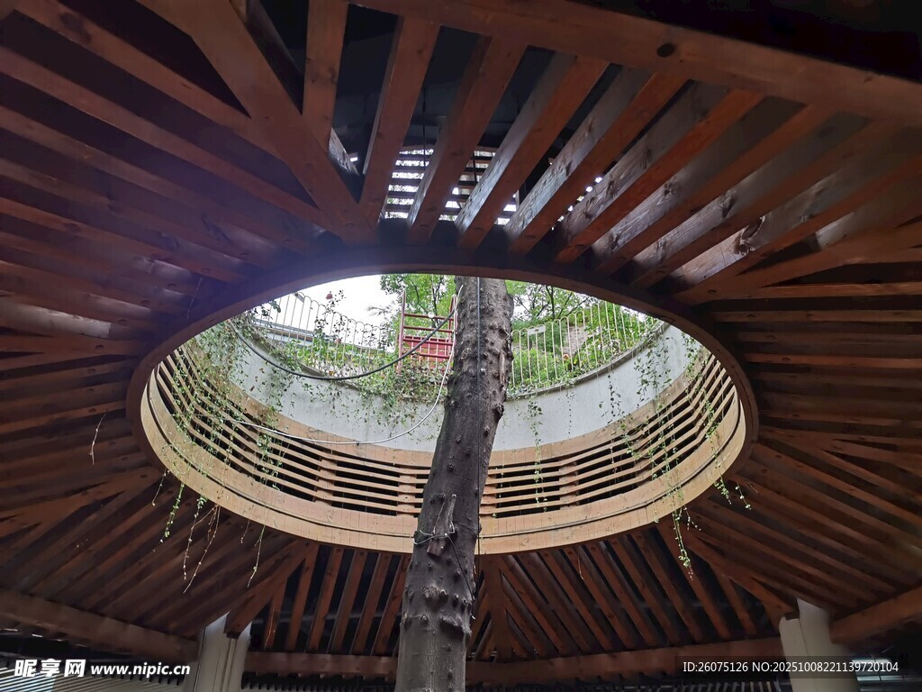 圓形木質(zhì)建筑內(nèi)部景觀