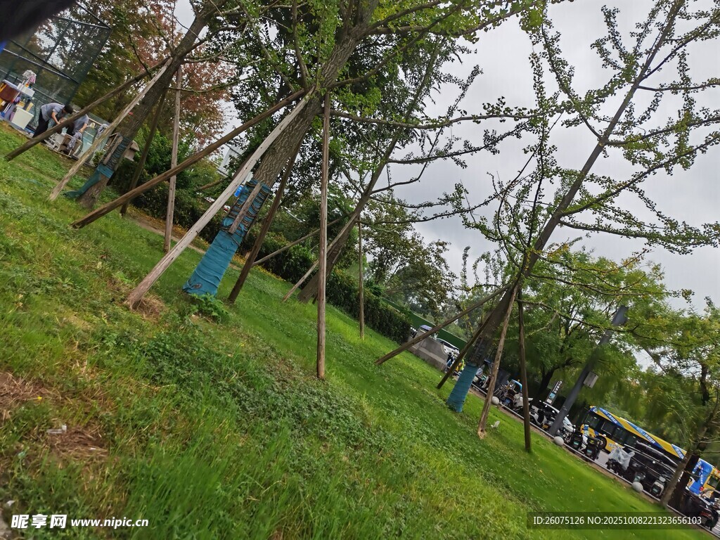 公園綠意盎然的休閑場景