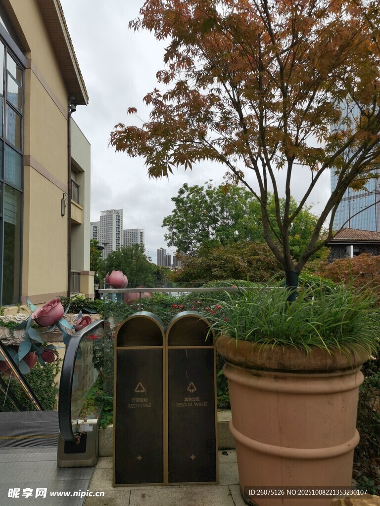 戶外庭院綠植裝飾景觀