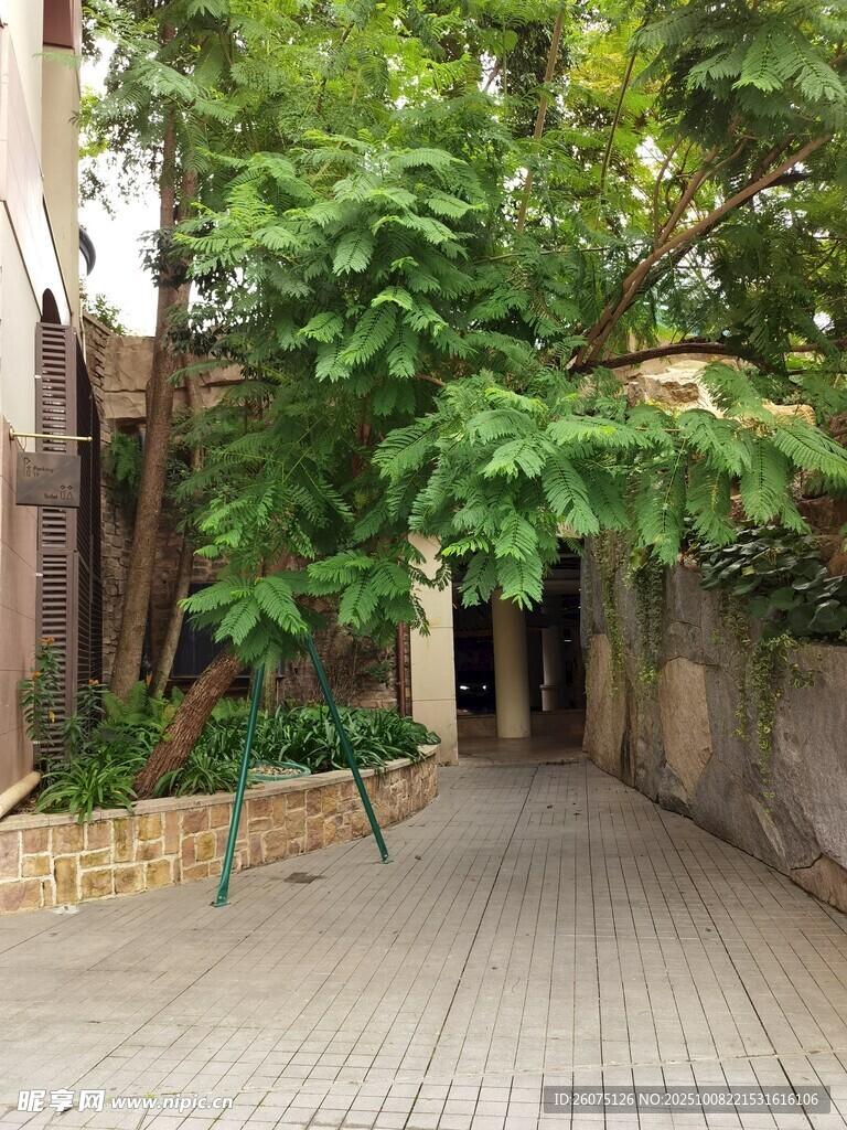幽靜小巷綠植相伴