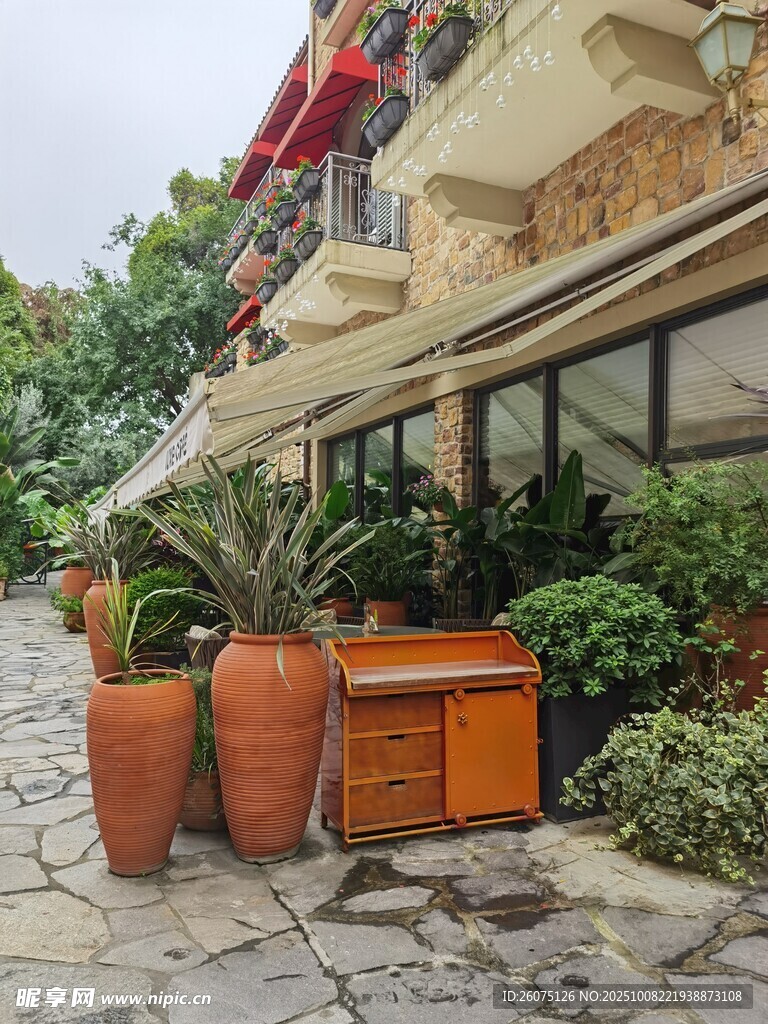 街邊雅致綠植裝點的店鋪