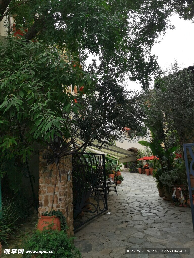 幽靜庭院石板小徑景觀