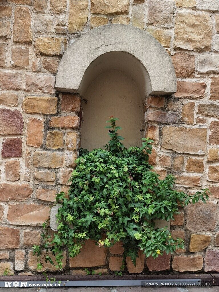 石墻花窗綠植景致