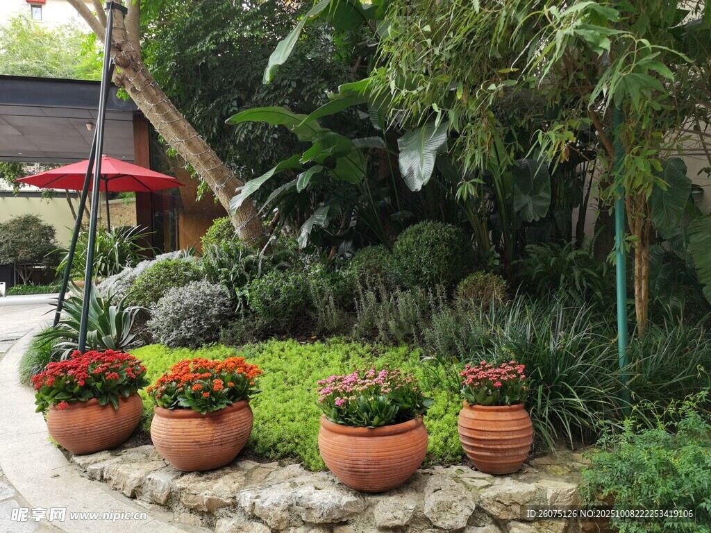庭院綠植景觀生機(jī)盎然