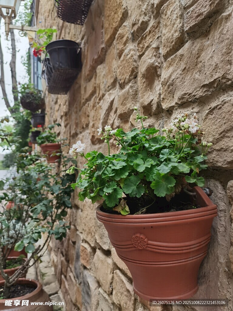 石墻上的盆栽綠植景觀