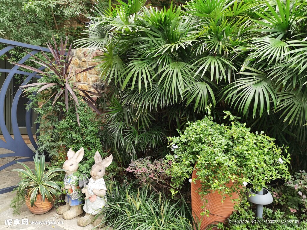 庭院綠植與可愛兔子擺件