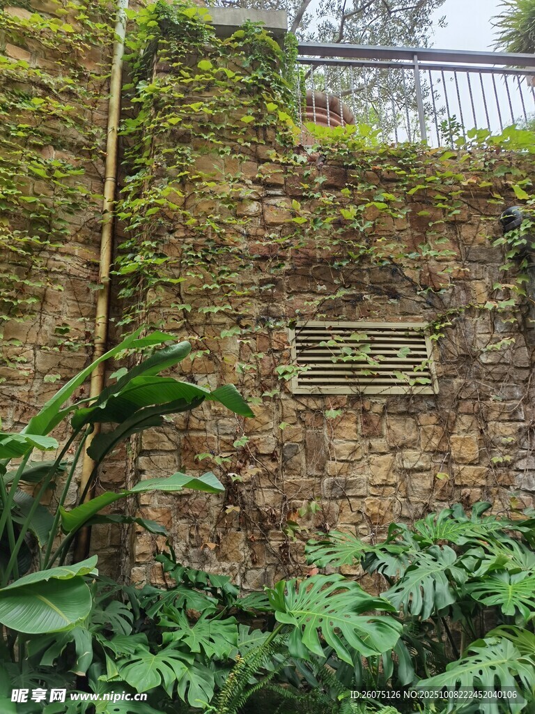 綠植環(huán)繞的古樸石墻