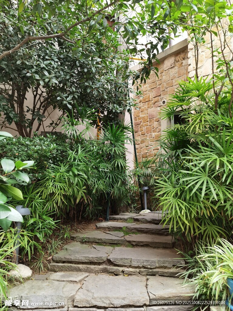庭院綠植環(huán)繞的石板小徑