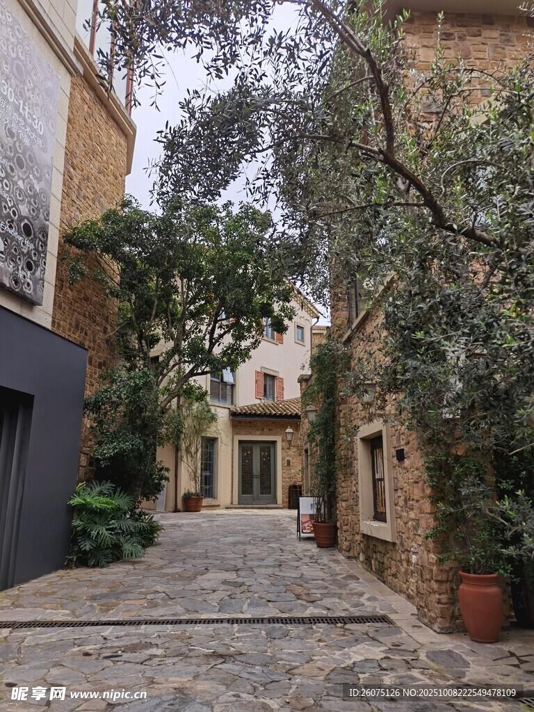 古樸小巷中的綠植與建筑