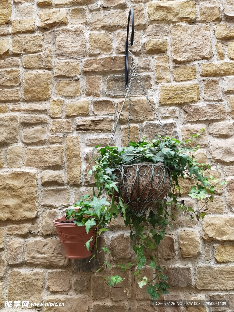石墻上的綠植花盆