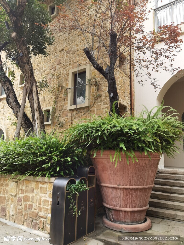 庭院角落的綠植與陶盆