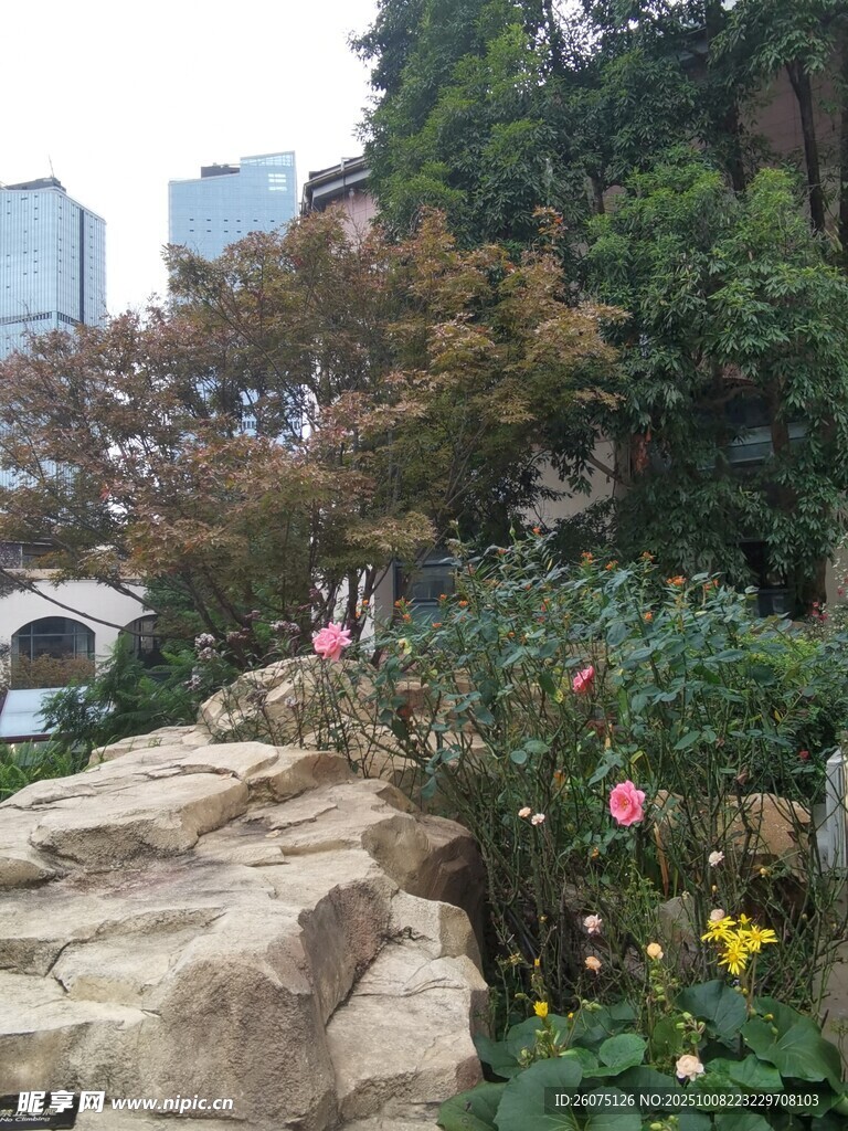 城市中巖石旁的多彩花卉景觀