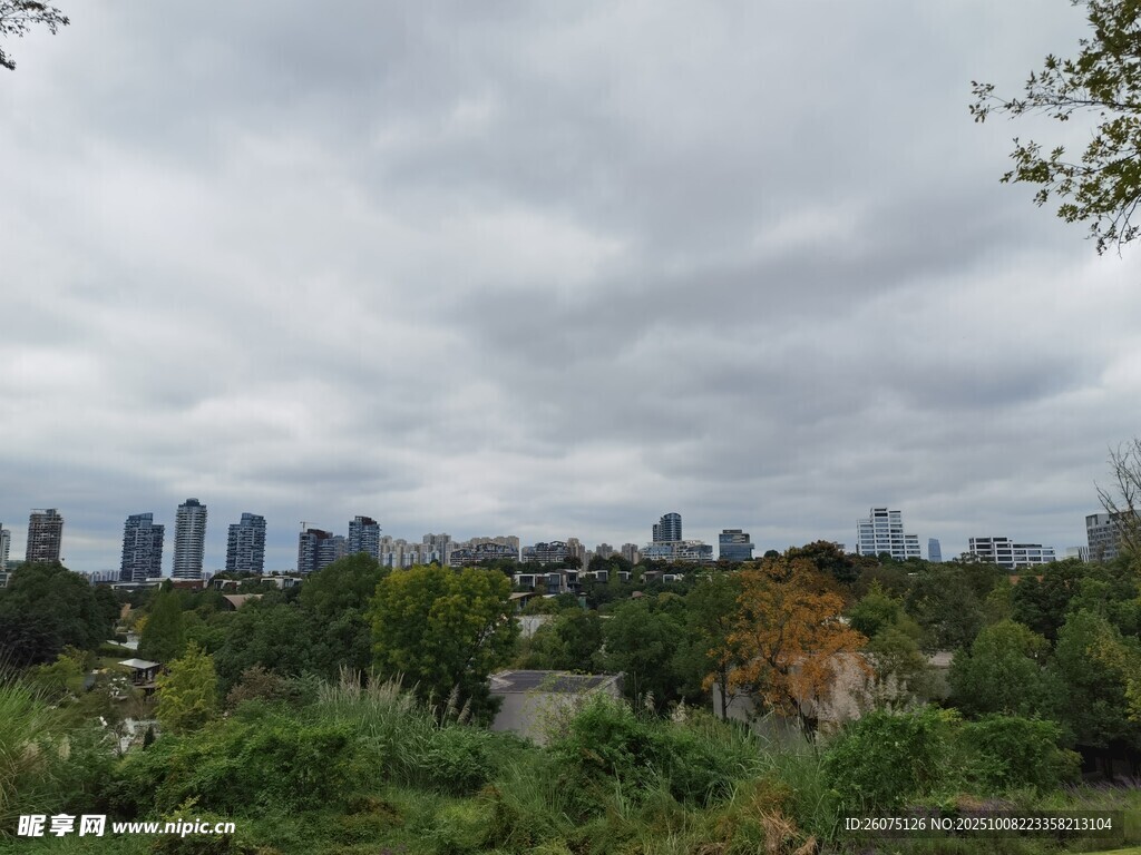 城市邊緣的綠植與天際線