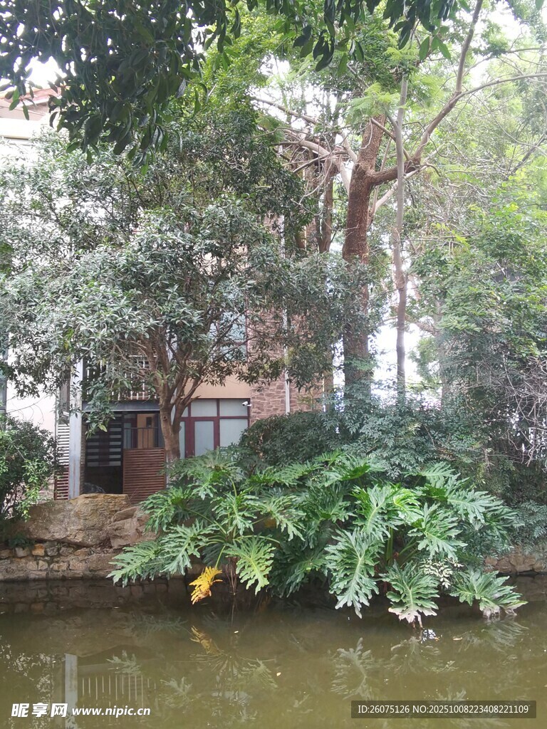 水邊綠植環(huán)繞的靜謐小屋